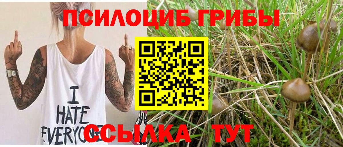 как найти закладки  Псилоцибиновые грибы мицелий  Вход с VPN  Туапсе 