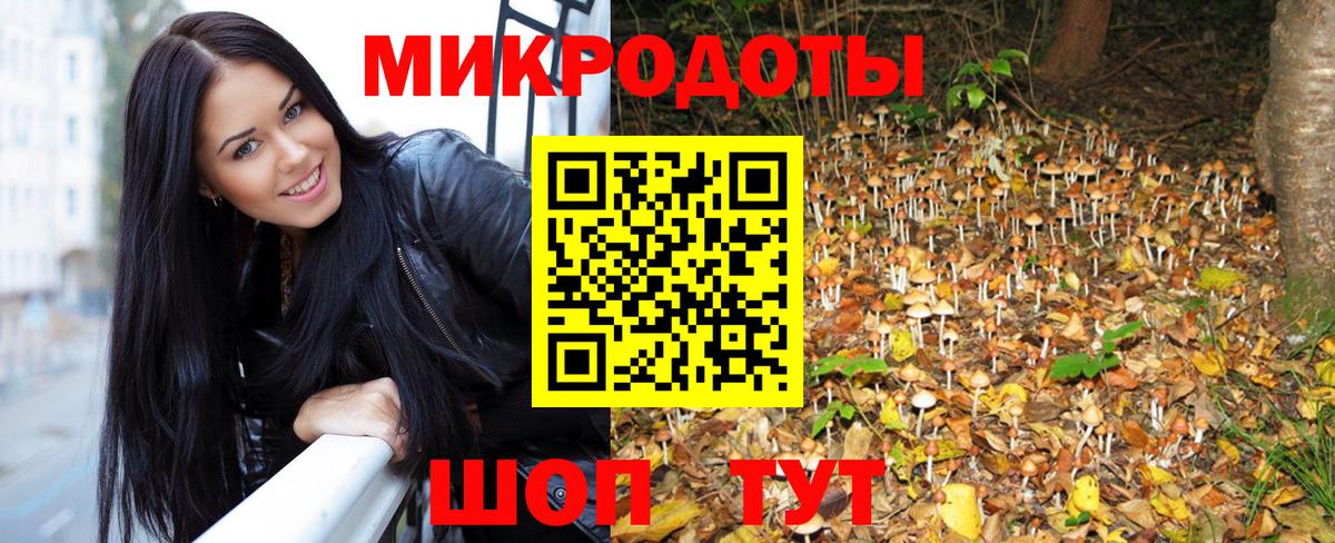 Псилоцибиновые грибы ЛСД Туапсе